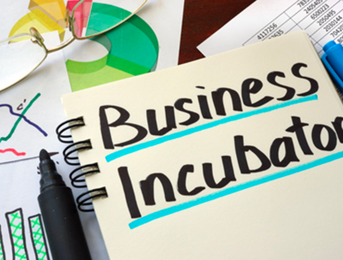 Incubator