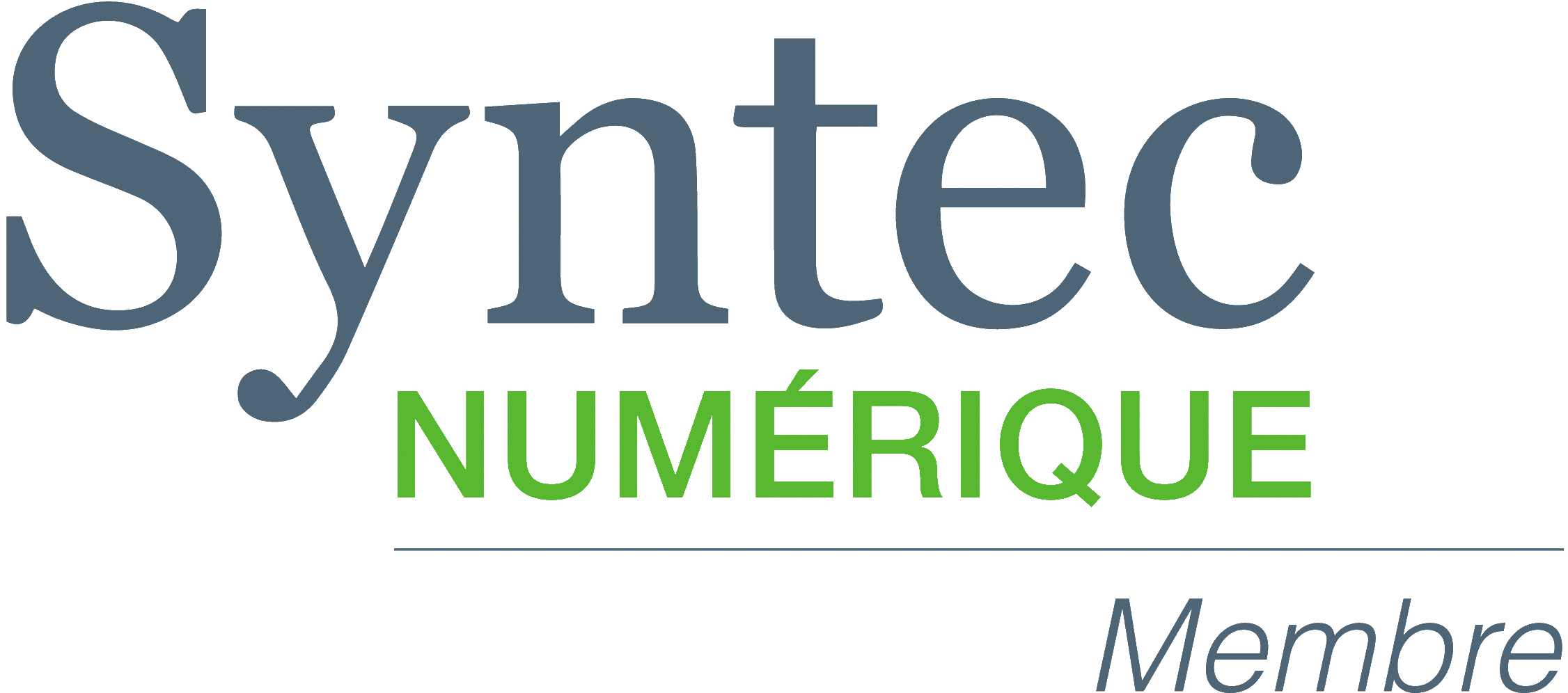 Syntec Numrique